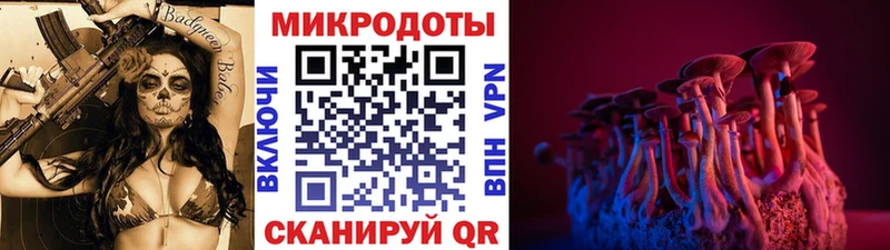 мориарти официальный сайт  Курлово  Галлюциногенные грибы MAGIC MUSHROOMS 